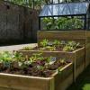 Vierkantemetertuin bouwpakket - zelf een vierkante meter tuin maken