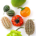 Sierfruit: soorten siervruchten en hun verzorging