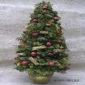 Bloemschikken: Maken van een decoratieve kerstboom