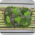Grafstuk met chrysanten en vetplanten maken