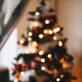 Tips om de kerstboom te verzorgen
