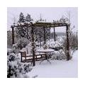 Winterse afbeeldingen van tuinen met sneeuw door leden van het tuinforum