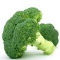 Quiche en gratin van broccoli
