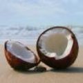 Kokosolie, kokosbloesemsuiker en kokosmeel