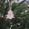 De beste tips tegen naaldverliezende kerstbomen