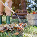 Een herfstactieplan - 10 najaarstips