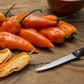 Kiezen: Paprika's en pepers - zaaien in de maand maart
