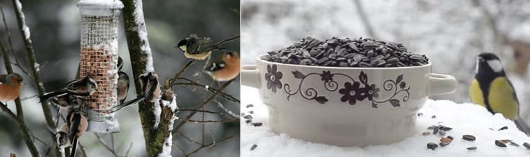 Winterse voederplaatsen voor vogels