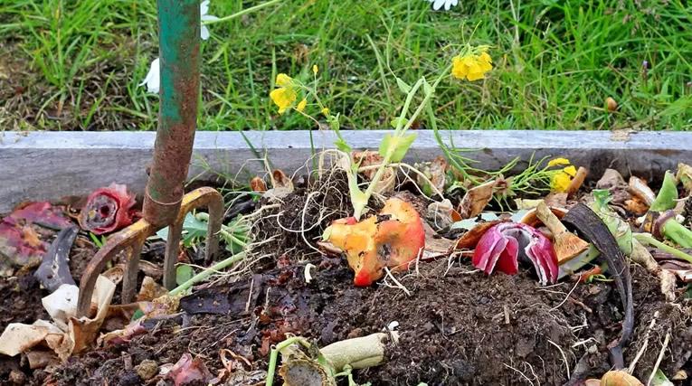 Zelf compost maken: milieuvriendelijk, goedkoop én doeltreffend