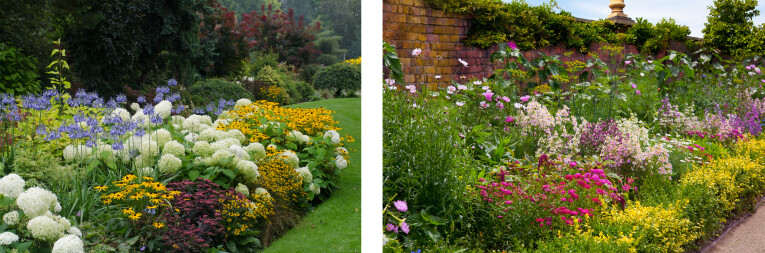 Tuin met complementaire kleuren - Harmonieuze plantenborder