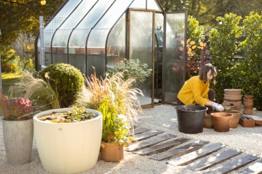 Wintergewassen zaaien of planten in de tuinkas