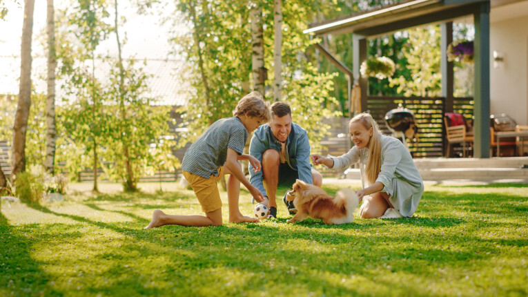 tips voor een hondvriendelijke tuin
