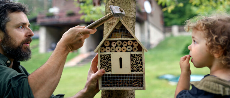 Hang een insecten- of bijenhotel op in de tuin