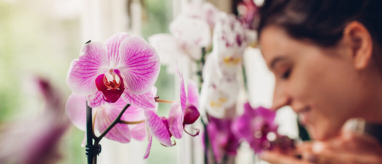 Liefde voor orchideeën
