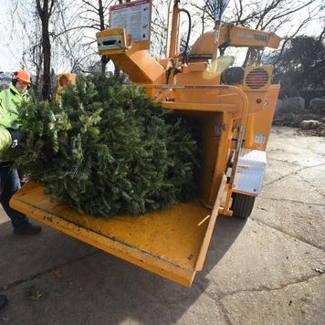 kerstboom versnipperen - recyclage kerstboom