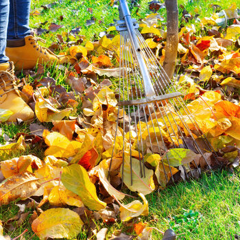 Tuintip afbeelding