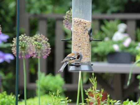 Foto's van uw Tuin