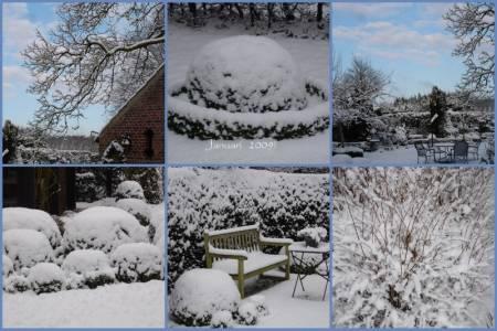 Foto's van uw Tuin