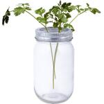 Glazen bloemenvaas JAR met schikdeksel