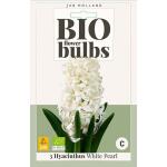 Bio Hyacint 'White Pearl' - bio flowerbulbs (3 stuks)