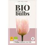 Bio Tulp Salmon 'Van Eijk' - bio flowerbulbs