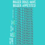 Hondenvoer ADULT met verse scharrelkip - Edgard&Cooper 12 kg