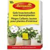 Aeroxon gele lijmplaatjes voor kamerplanten