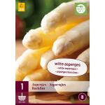 Asparagus Backlim - witte asperges (1 stuks)