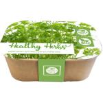 Box Healthy Herb - peterselie