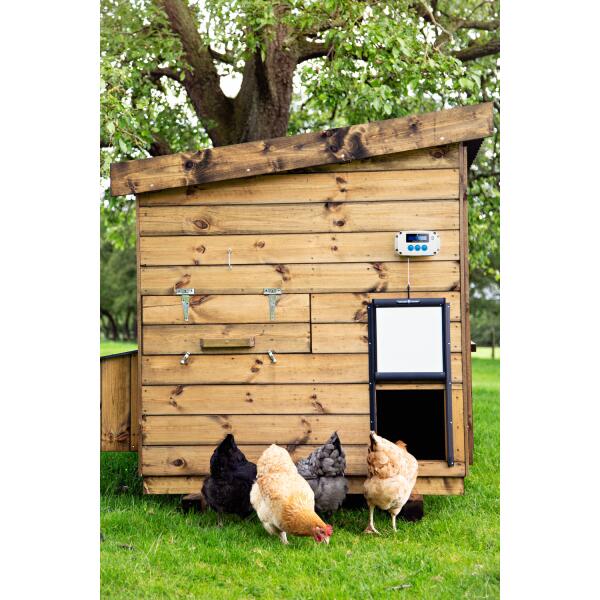  - Chickenguard Pro deurwachter + kippenhokdeur
