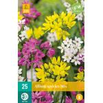 Allium Species Mix - Kleinbloemig (25 stuks)