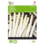 Asperges Argenteuil - Asparagus officinalis