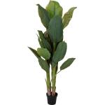 Bananenplant kunststof - 165 cm