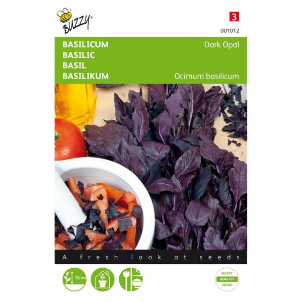  - Basilicum Dark Opal
