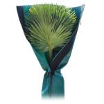 Beschermhoes palmboom - groen - 150 cm