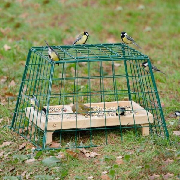 Beschermkooi voor kleine tuinvogels