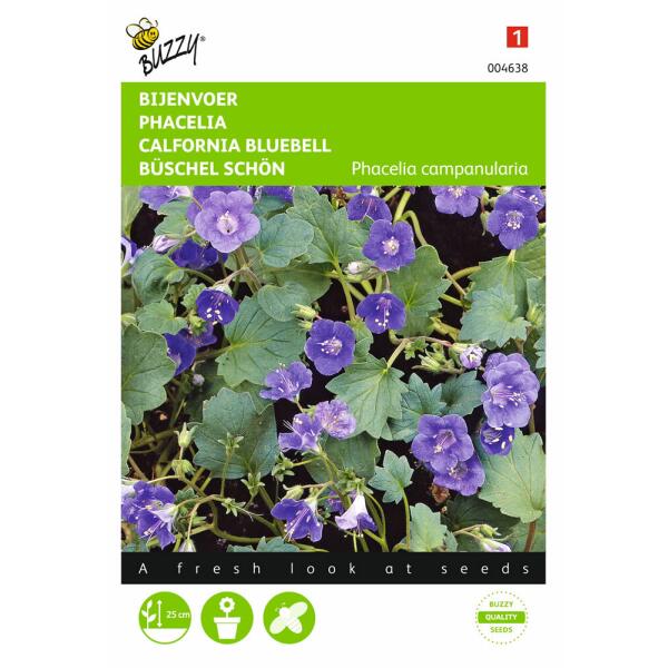 Bijenvoer - Phacelia campanularia