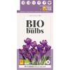 Bio Crocus Flower Record - bio flowerbulbs