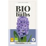 Bio Hyacint 'Delft Blue' - bio flowerbulbs (3 stuks)