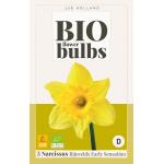 Bio Narcissus Rijnvelds Early Sensation - bio flowerbulbs (5 stuks)
