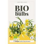 Bio Tulp 'Dasystemon' - bio flowerbulbs (7 stuks)