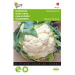 Bloemkool Herfstreuzen 2 - Brassica oleracea
