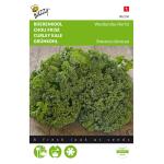Boerenkool Westlandse Herfst - Brassica oleracea