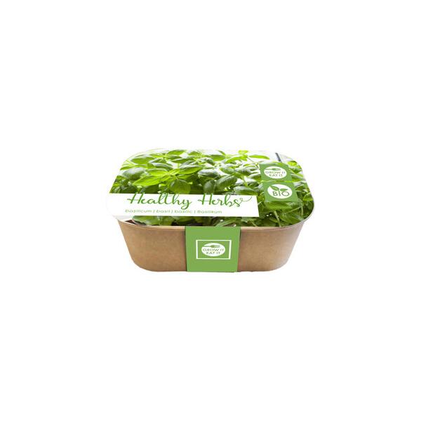  - Box Healthy Herb - basilicum