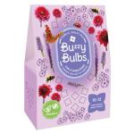 Buzzy Bulbs bloembollen voor bijen - paars/violet - 1 m²
