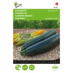 Courgette Diamant F1 - Cucurbita pepo