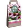 Echinacea purpurea - Help nature grow