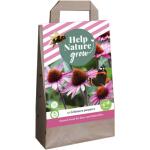 Echinacea purpurea - Help nature grow (10 stuks)