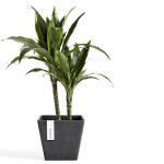 Ecopots Rotterdam antraciet - 30 cm