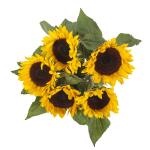 Boeket Helianthus - zonnebloemen